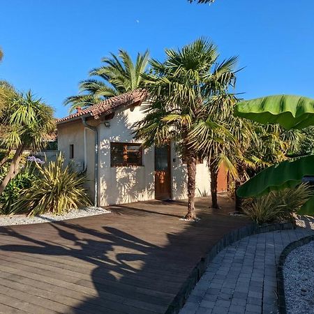 Guest House Au Milieu Des Palmiers Saint-Martin-de-Seignanx Kültér fotó